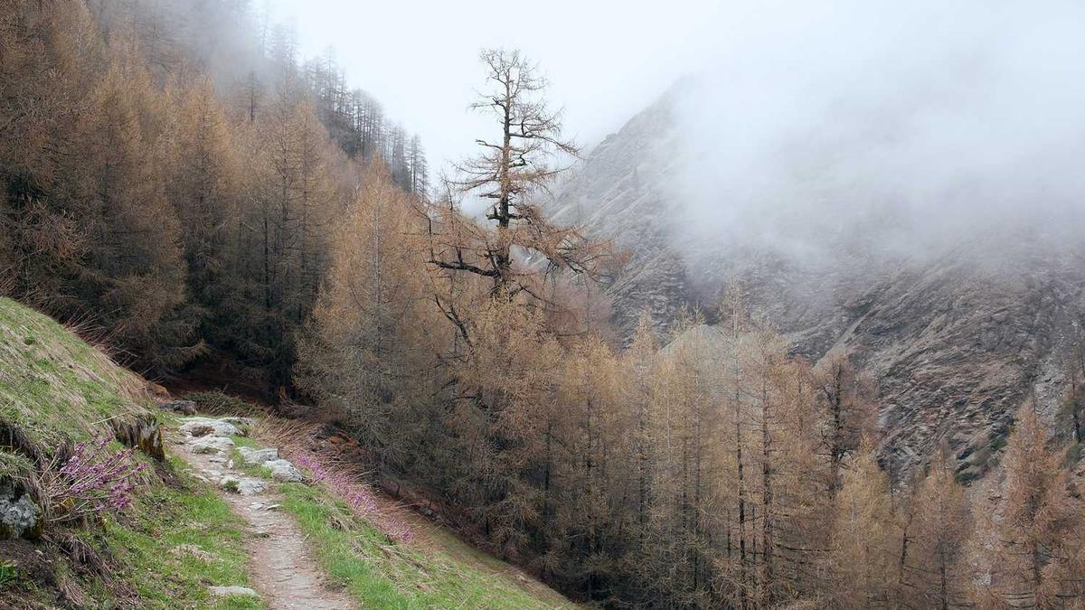 A haunting tale about courage, integrity, and the importance of standing up against evil rather than remaining a silent victim.